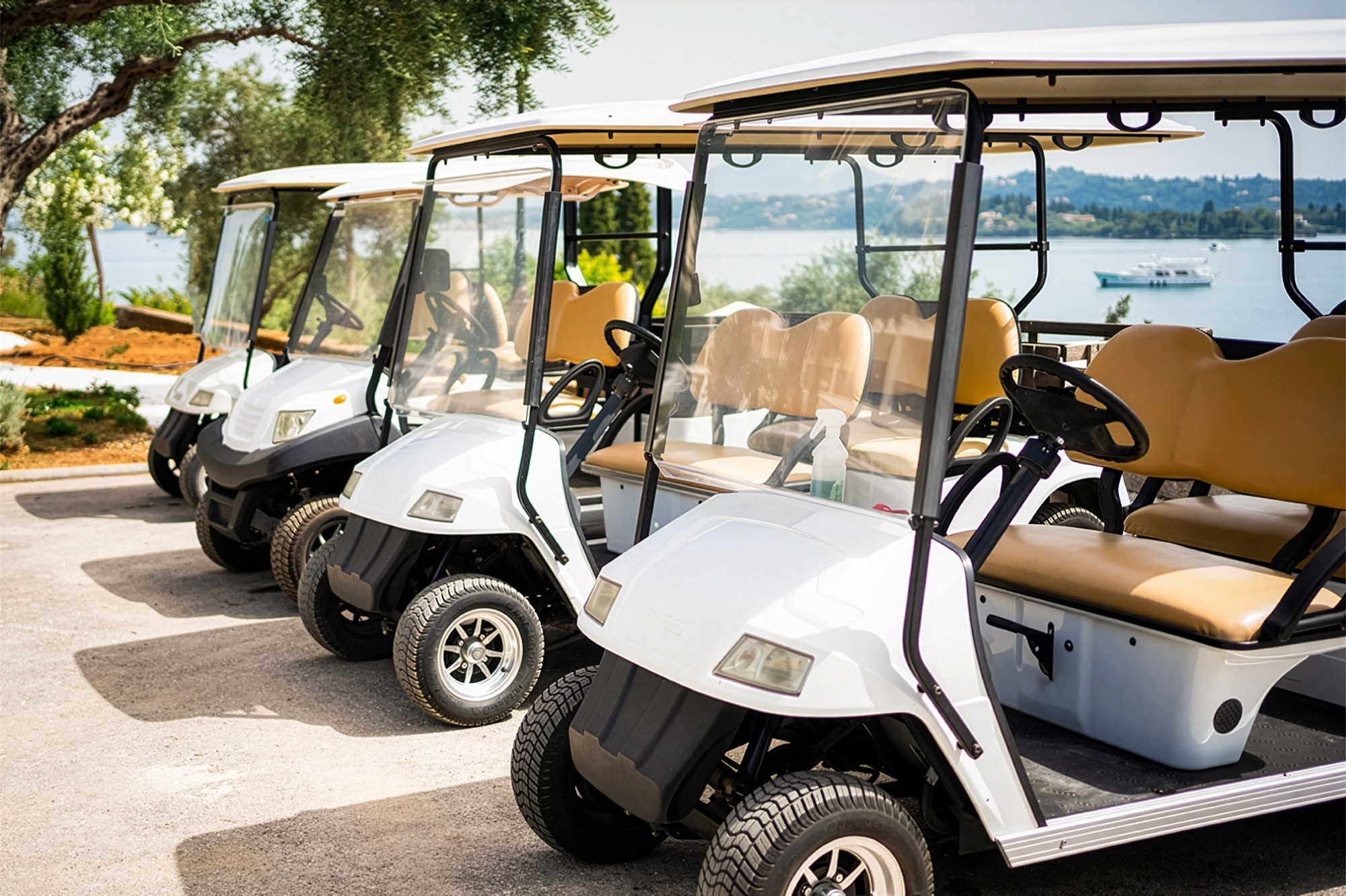 Golf Cart Compact Power Product Solutions